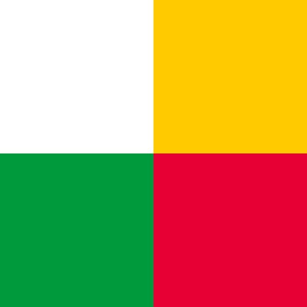 Next Mayor of Plzeň