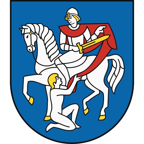 Martin Mayoral Election Winner
