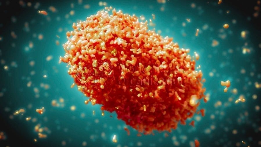 10+ monkeypox cases in US in 2024?