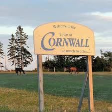 2026 Cornwall-Meadowbank PEI Assembly By-Election Winner