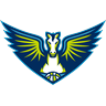 Dallas Wings