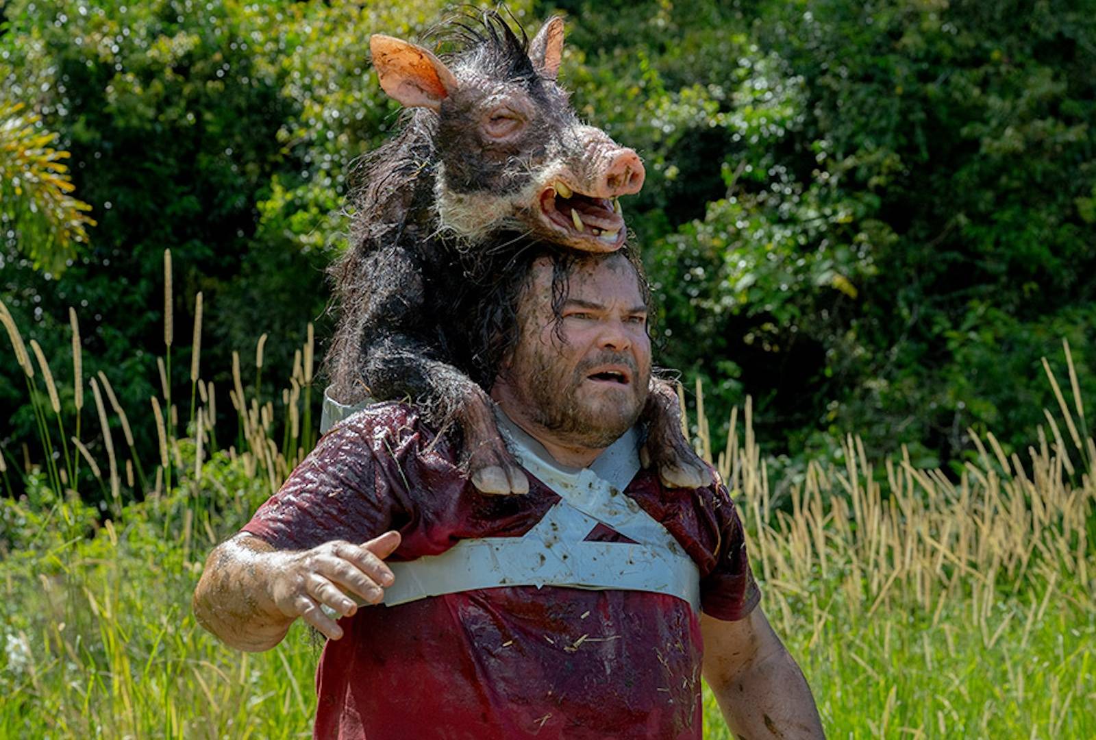 Will "Anaconda" Opening Weekend Box Office be between 23m and 27m?