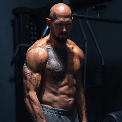 Andrew Tate # posts February 20 – February 27, 2026?