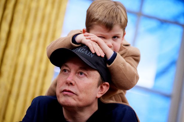Another Elon baby this month?