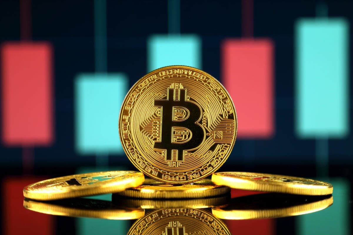 Bitcoin Dominance Up or Down this week?