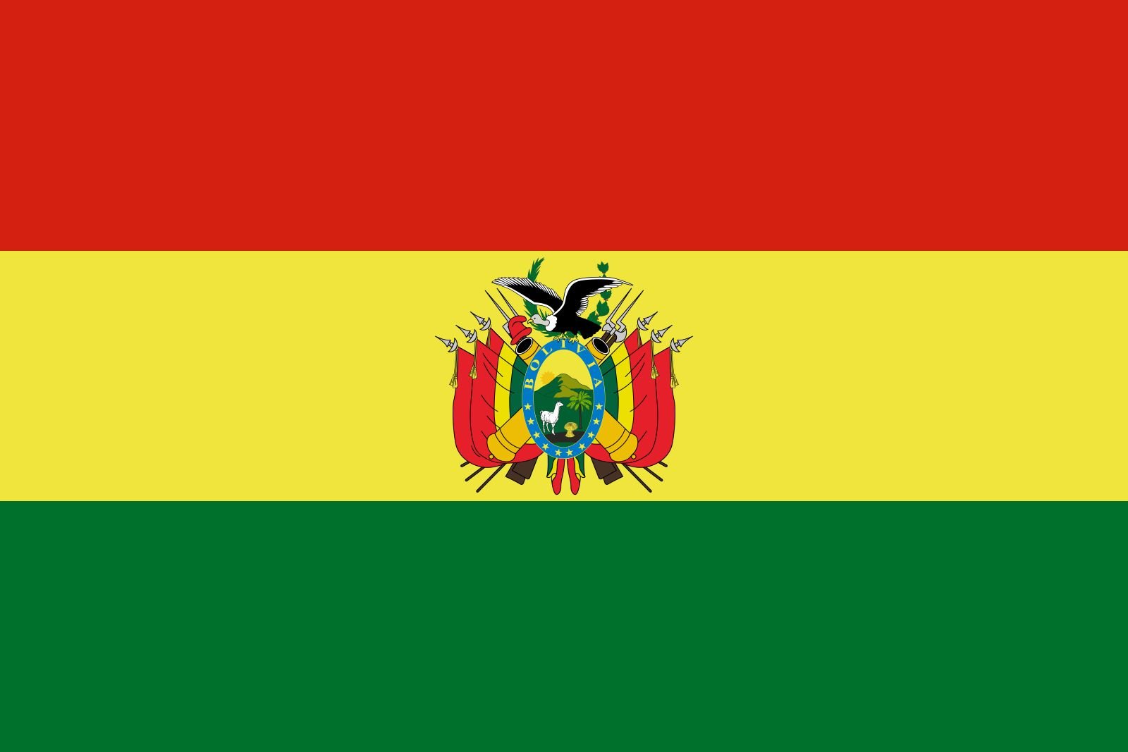 Bolivia Senate Election Winner
