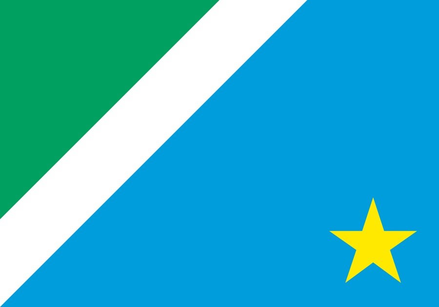 Mato Grosso do Sul Governor Election Winner
