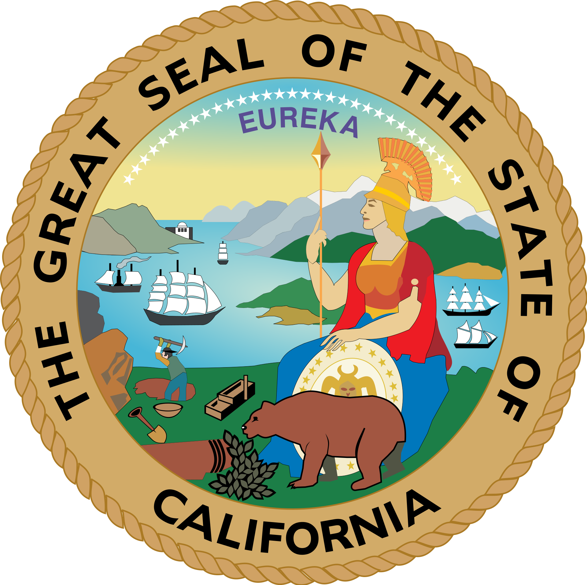 California Senate Election Winner
