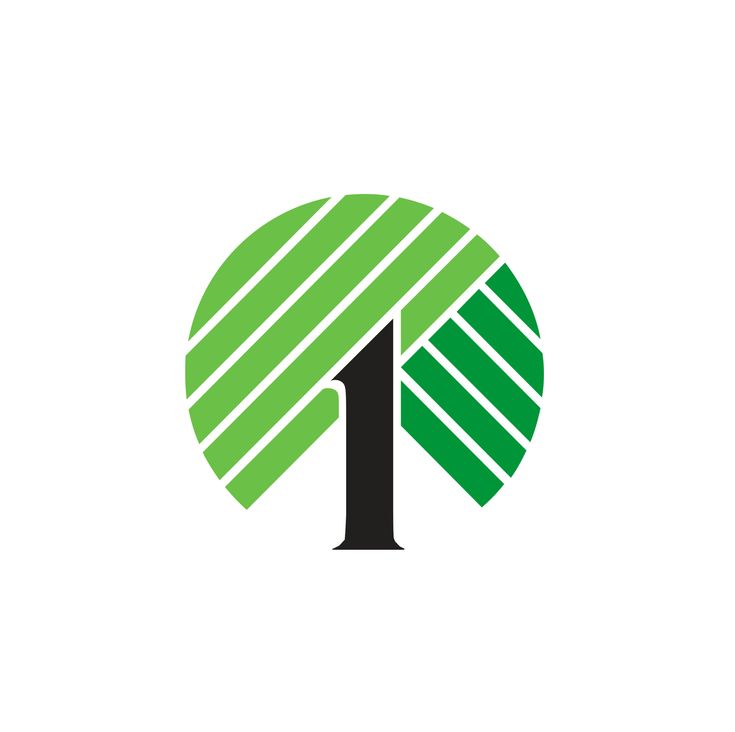 Dollar Tree Q1 comparable store net sales growth?