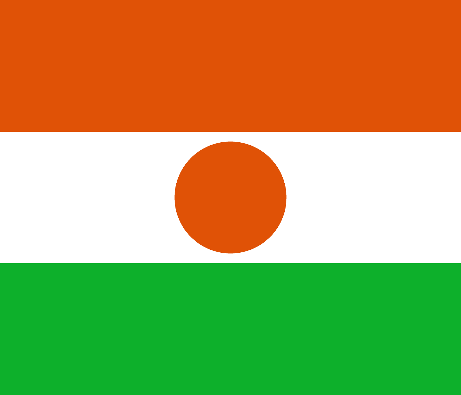 Military intervention in Niger by September 15?