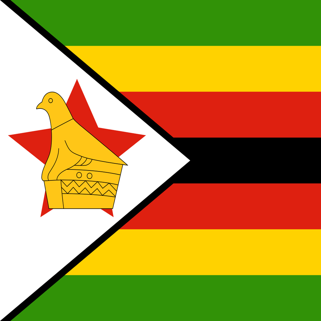 Zimbabwe Presidential Election: Will Mnangagwa win?