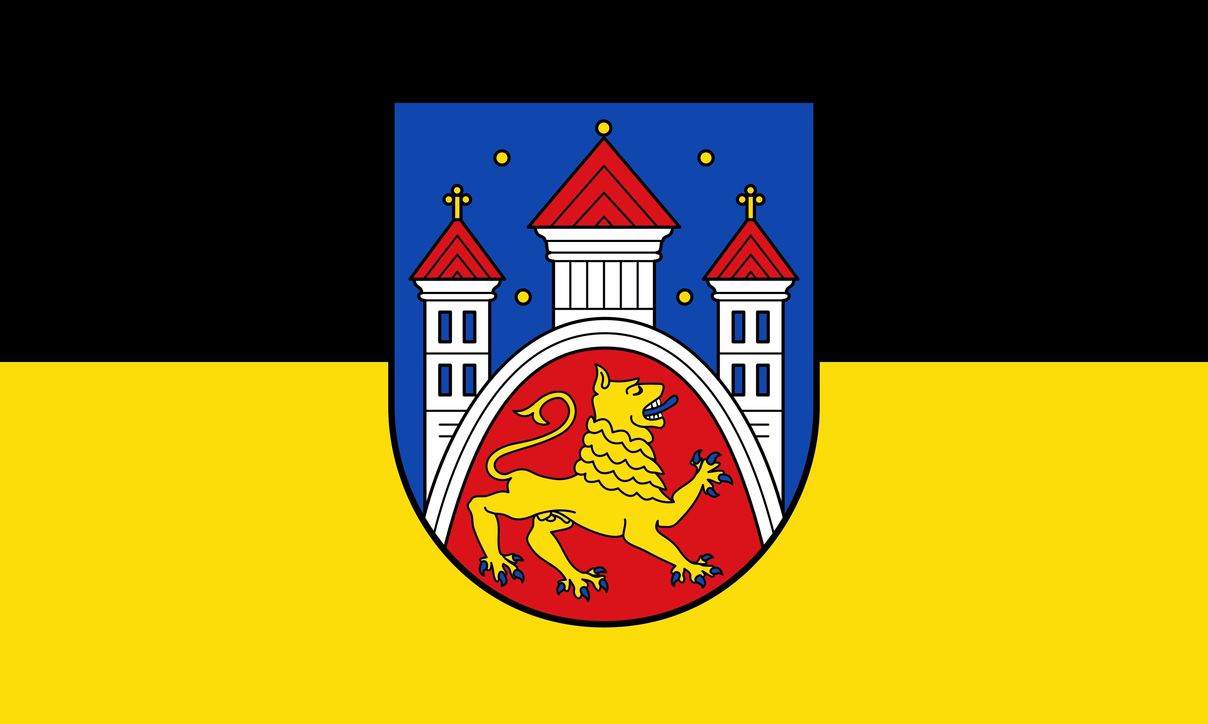 Göttingen Mayoral Election Winner