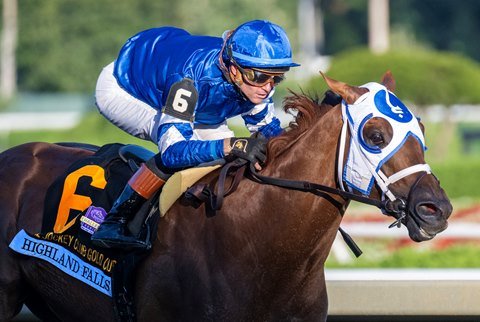 Horse Racing: Jockey Club Gold Cup Winner 