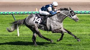 2025 Lexus Melbourne Cup Winner