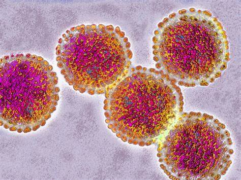 Human to human bird flu transmission before February?