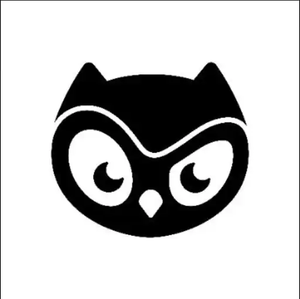 Moonbirds FDV above ___ one day after launch?