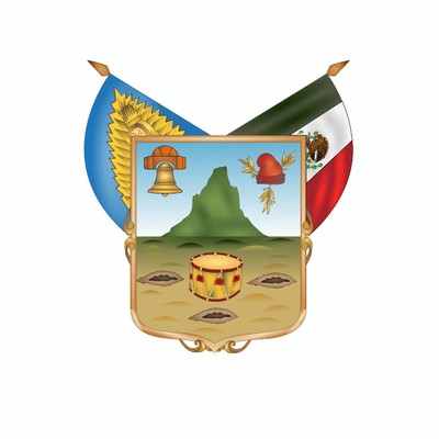 Hidalgo Congress Election Winner