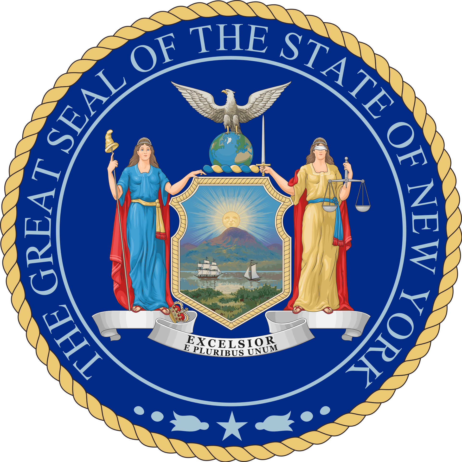 New York Senate Election Winner