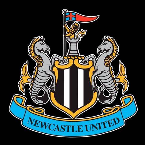 Newcastle beat Wolves