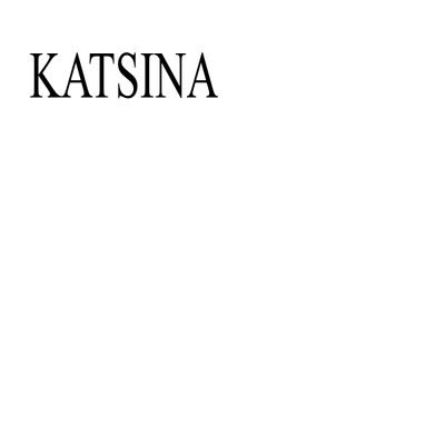 Katsina, Nigeria Governor Election Winner