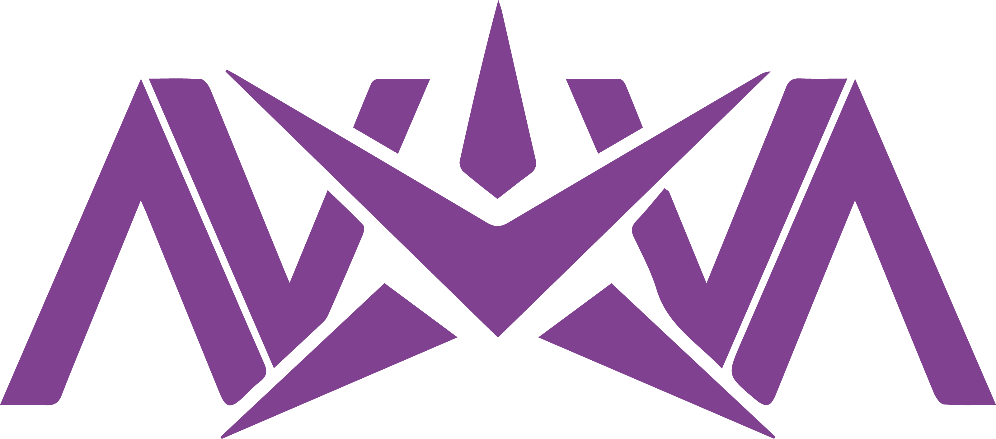 Will Nova Esports win VCT 2026: China League Stage 1?