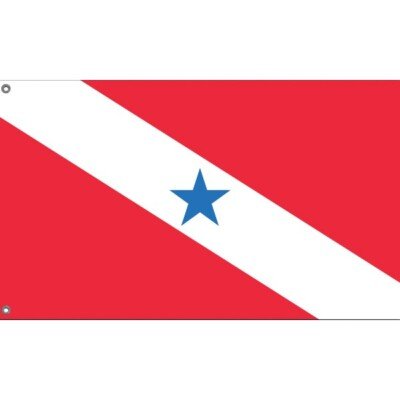Pará Governor Election Winner