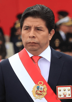 Pedro Castillo pardoned in 2026?