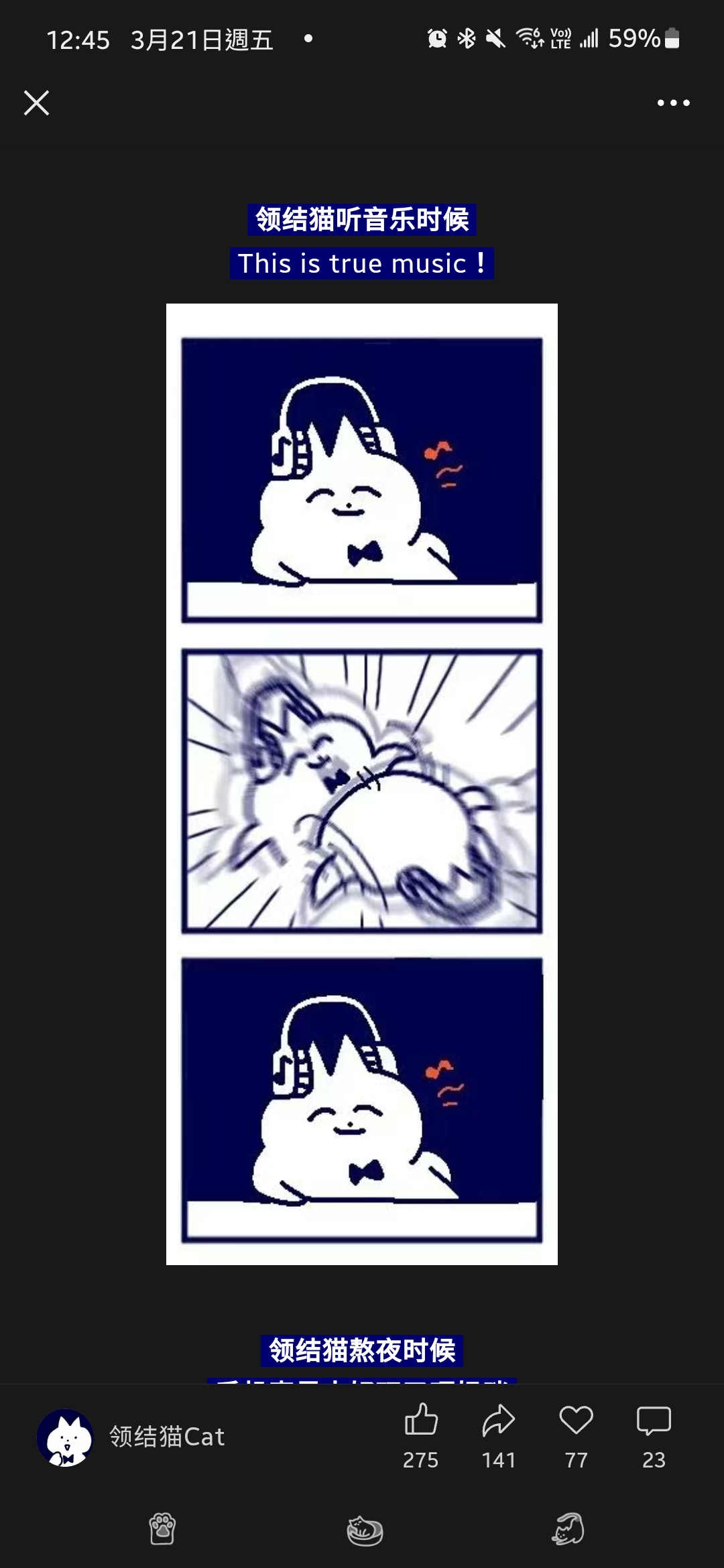 catwithtie