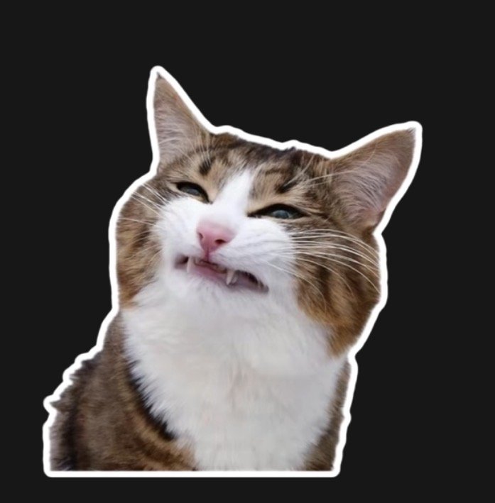 gatonekki
