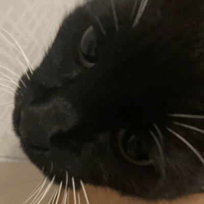 dizl