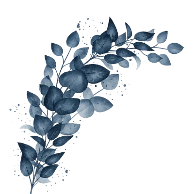 NEMESi