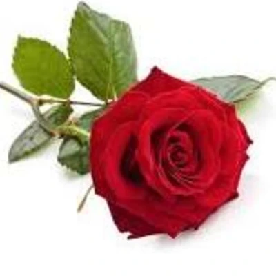 HEM7