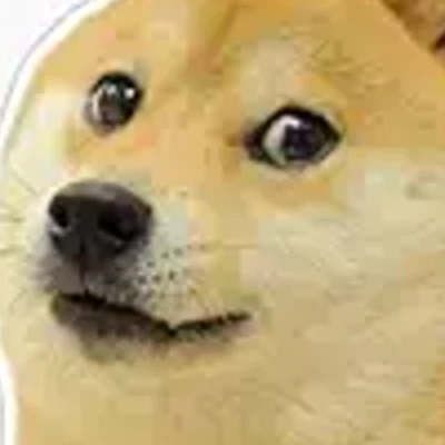 whatthedogdoing666