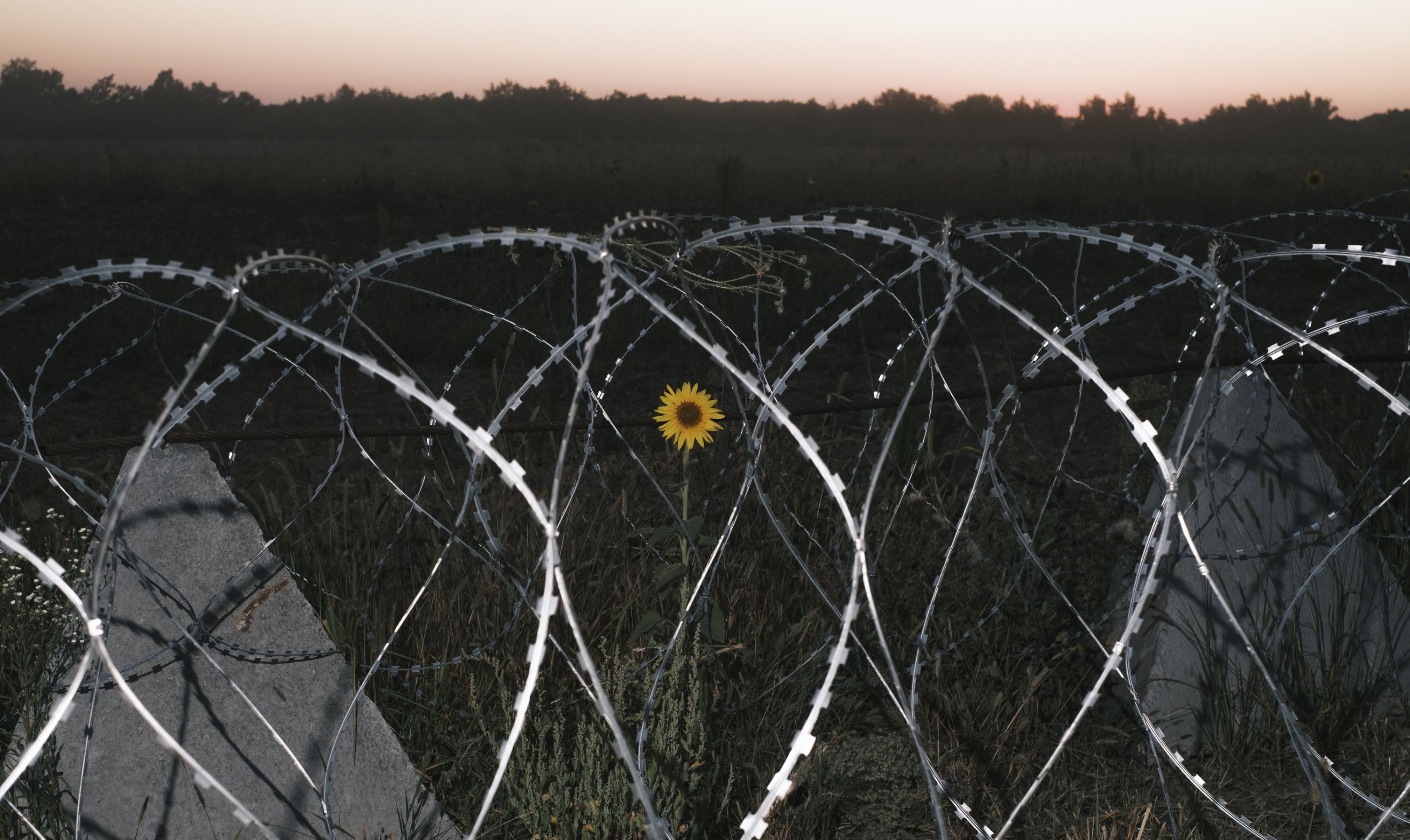 Russia x Ukraine buffer zone agreement by December 31?