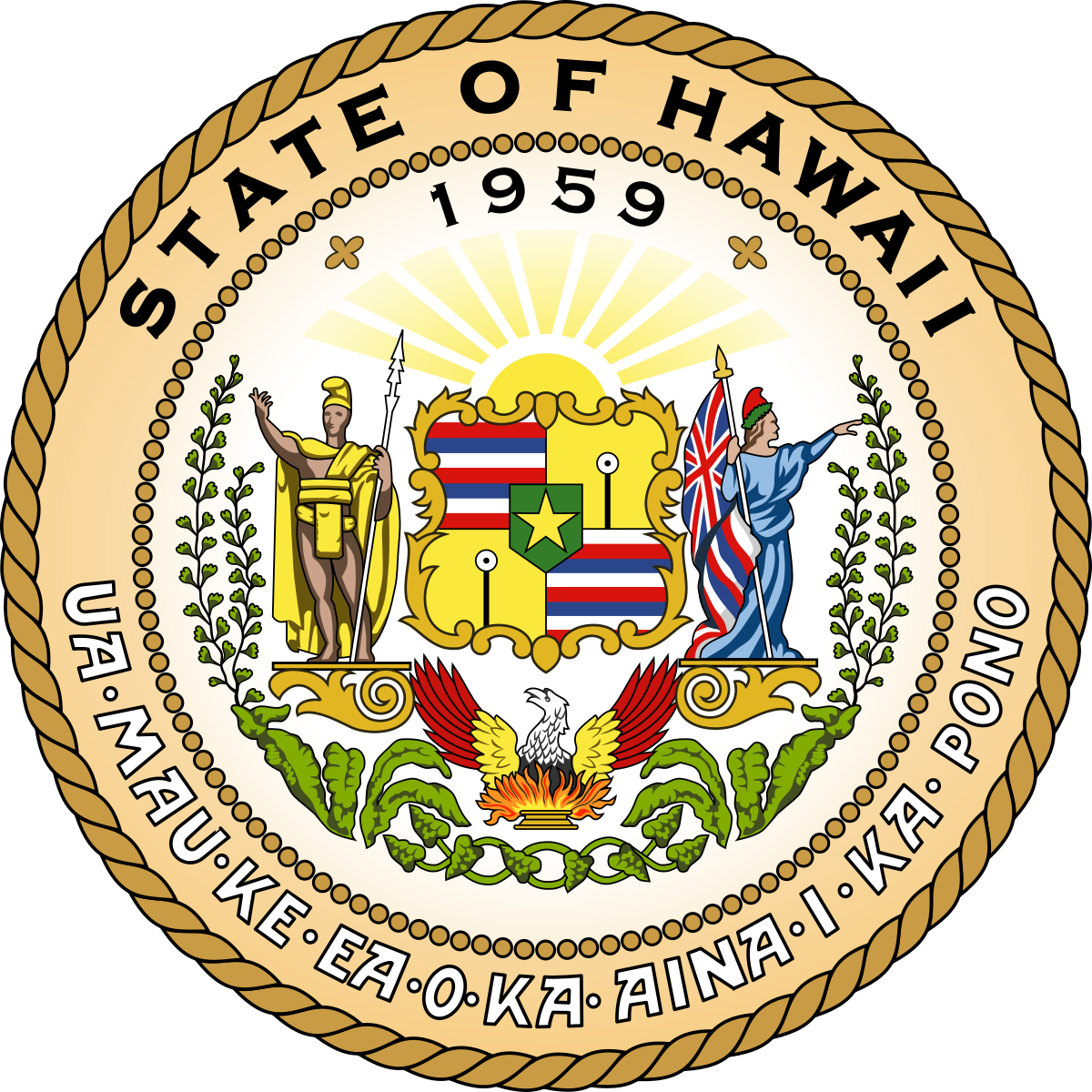 Hawaii Senate Election Winner