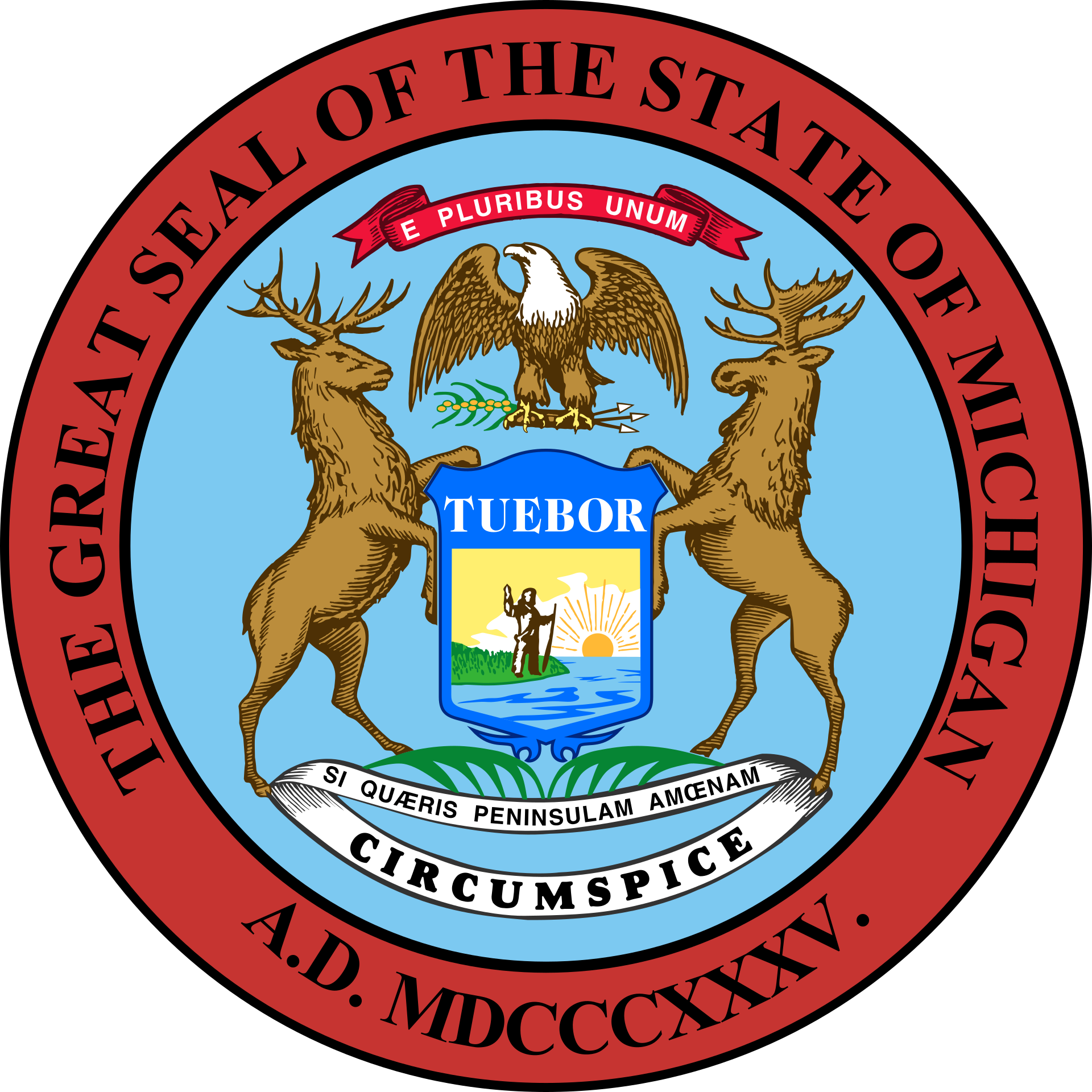 MI-12 Democratic Primary Winner