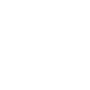 Team Spirit