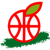 Hapoel Haemek logo