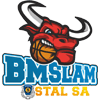 Stal Ostrow Wielkopolski logo