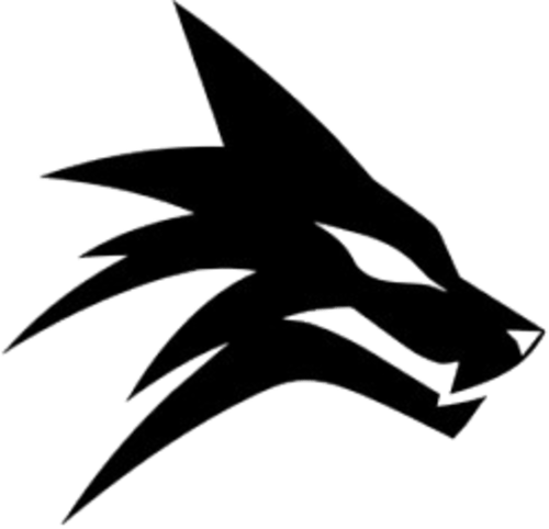 ce5 logo