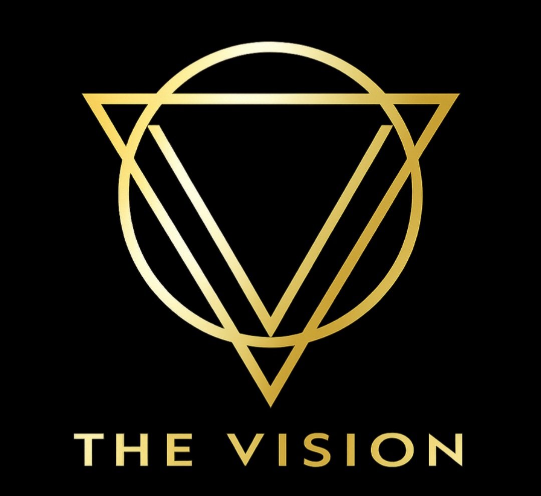 vsn1 logo