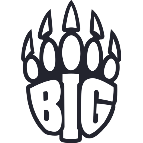 BIG Academy
