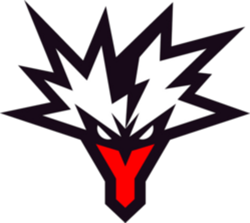 Team Yandex