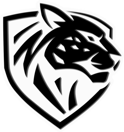 Ilbirs eSports