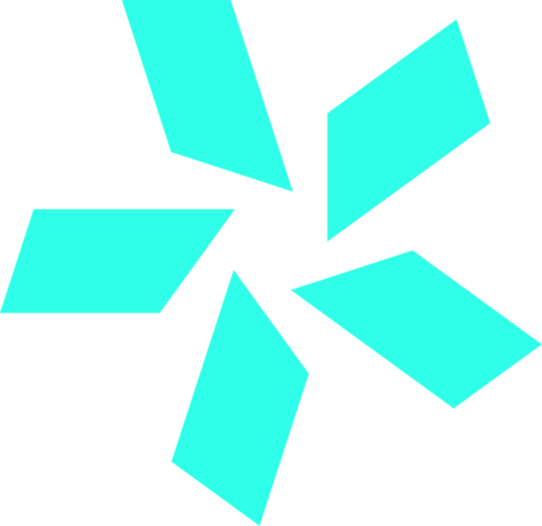 TEAM VISION logo