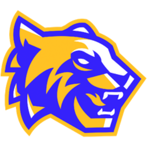 SDM Tigres