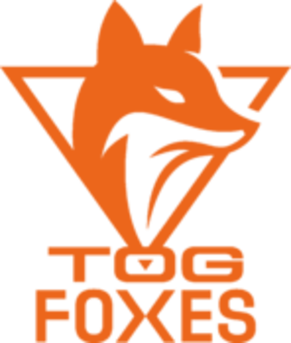 Team Orange Gaming