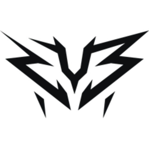 ZYB Esport