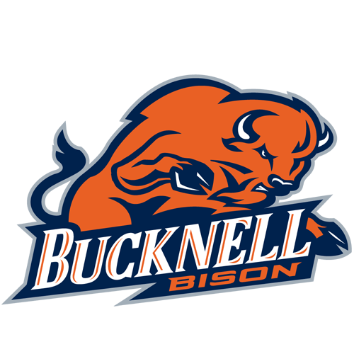 Bison logo