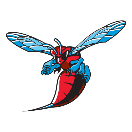 Hornets logo